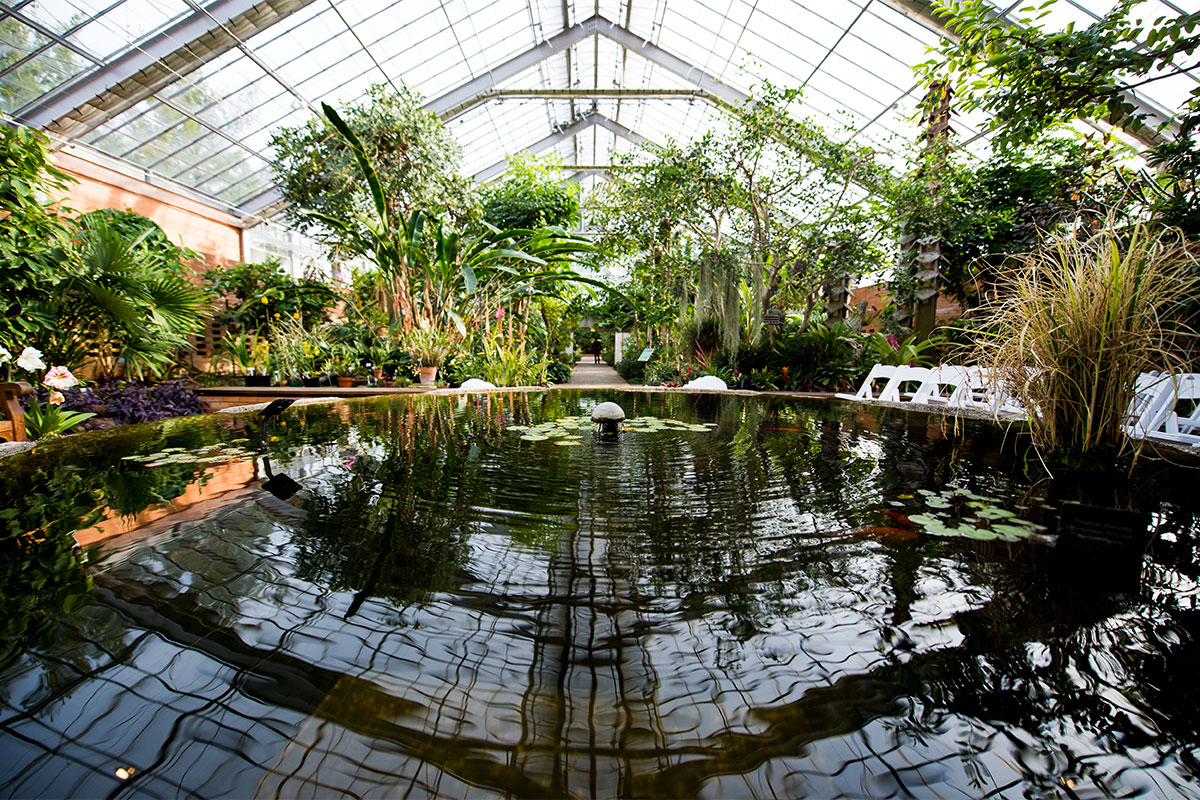 Монреальский Ботанический сад оранжерея
