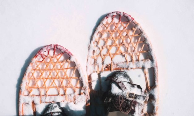 Cold Feet: Winter Exercise Ideas in Ann Arbor