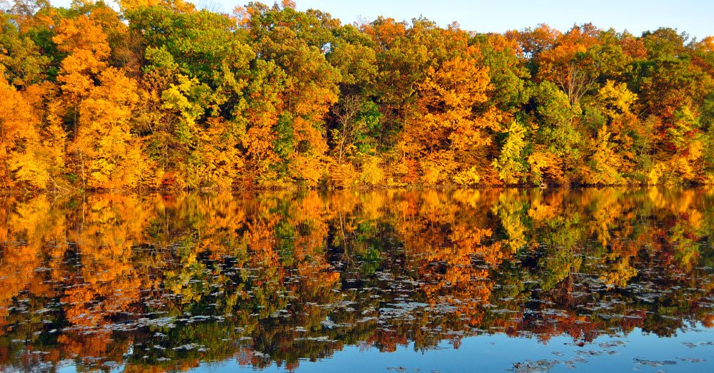 The Best Ways to See Fall Foliage in Ann Arbor & Ypsilanti