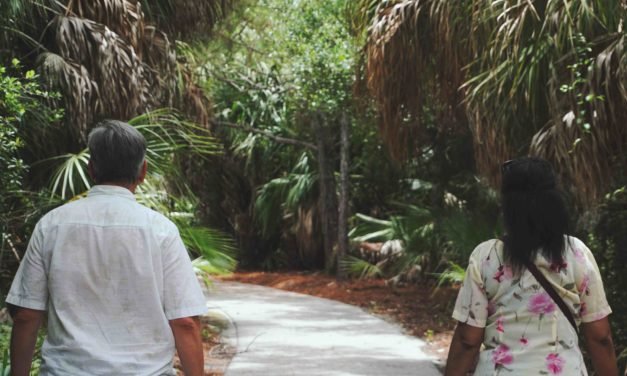 The Best Nature Hikes Near Hyde Park (Tampa)