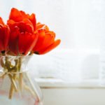 6 Ways to Welcome Spring into Your Apartment